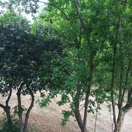 Appartamento Periklis Prínos