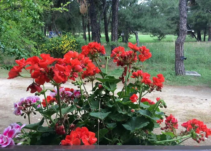 公寓 Periklis Prínos